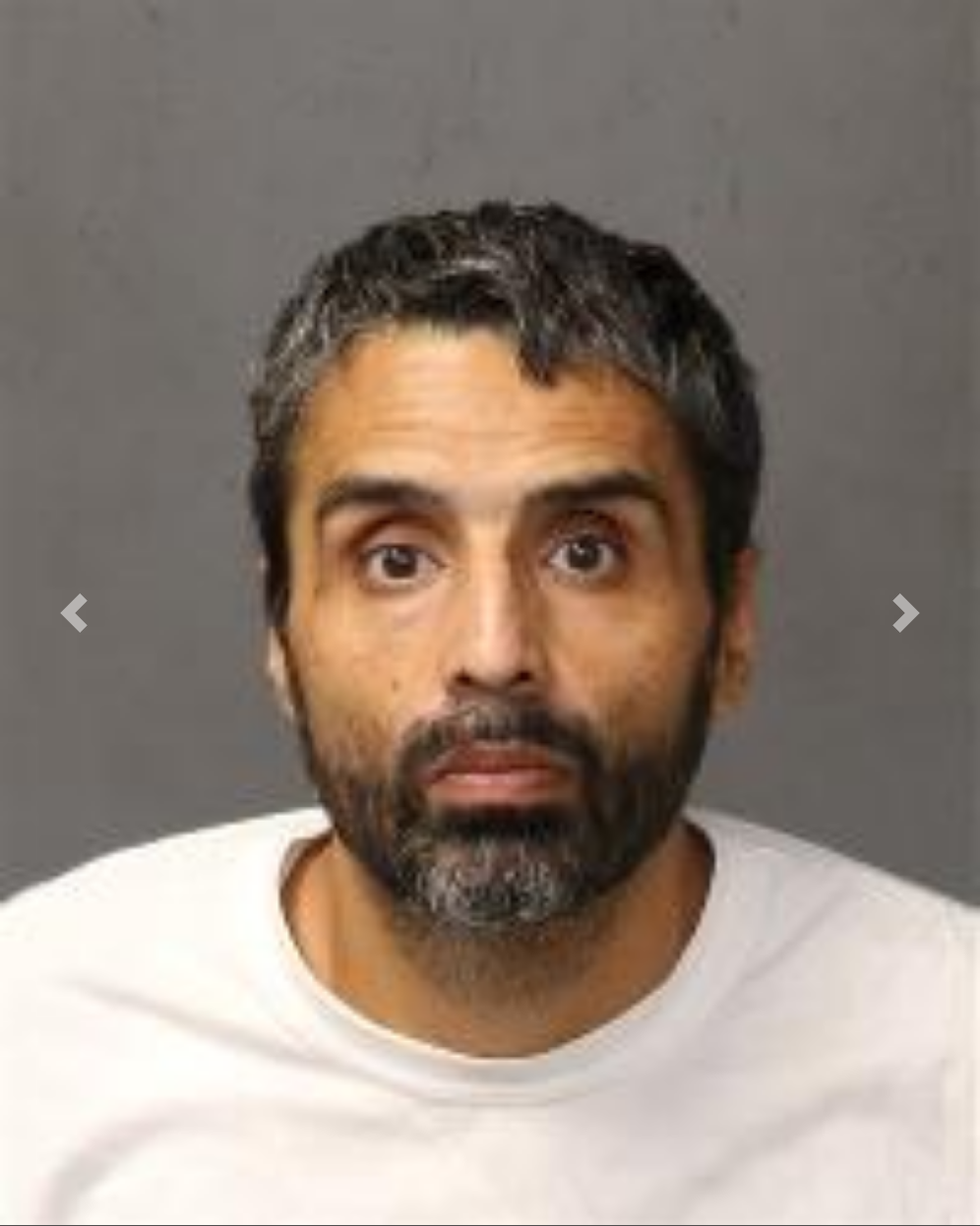https://viaintfacep2.bernco.gov/custodylist/Detail/22774461751330