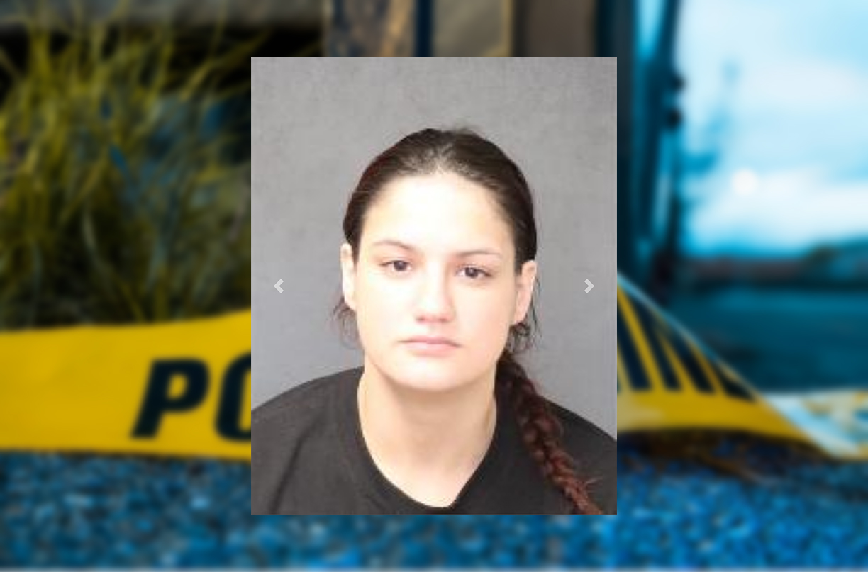 https://viaintfacep2.bernco.gov/custodylist/Detail/22327401837986
