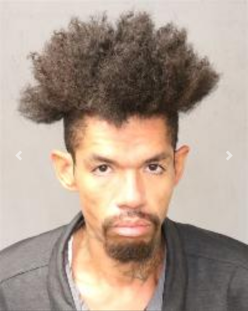 https://viaintfacep2.bernco.gov/custodylist/Detail/22844062256546