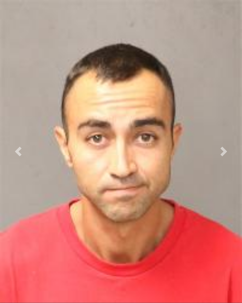 https://viaintfacep2.bernco.gov/custodylist/Detail/22854994733090
